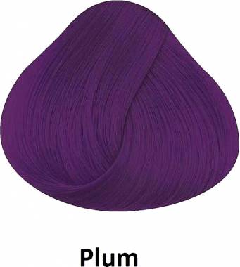 La Riche Directions Hair Color Plum