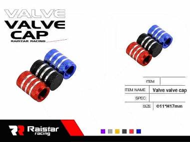 Καπάκι βαλβίδας ελαστικών αυτοκινήτου - R-Z17108-4U - 140525