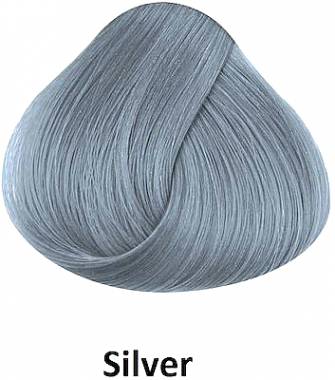 La Riche Directions Hair Color Silver